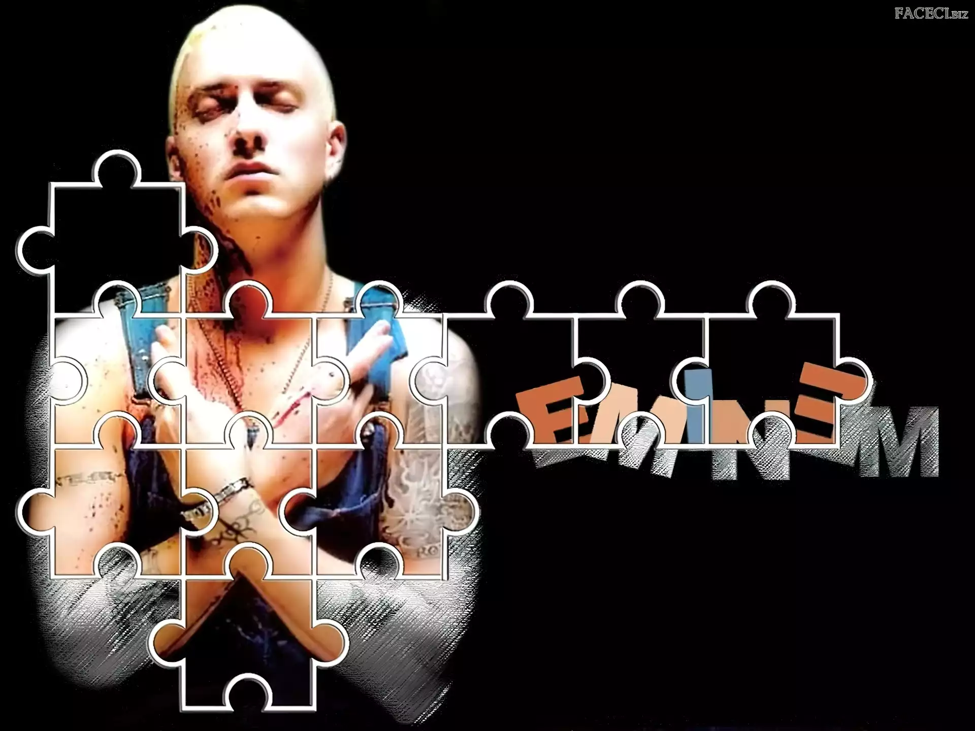 Puzzle, Eminem